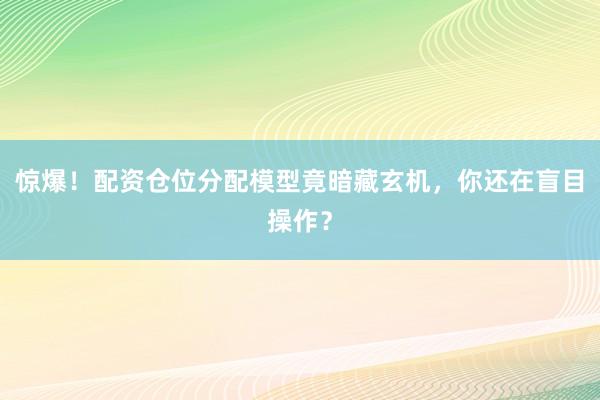 惊爆！配资仓位分配模型竟暗藏玄机，你还在盲目操作？