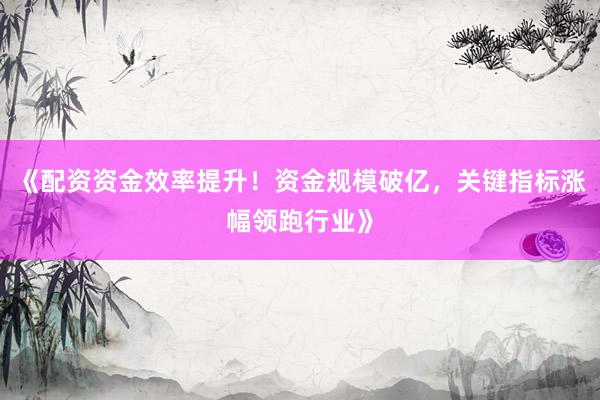 《配资资金效率提升！资金规模破亿，关键指标涨幅领跑行业》