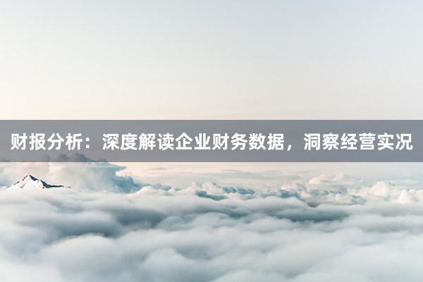 财报分析：深度解读企业财务数据，洞察经营实况