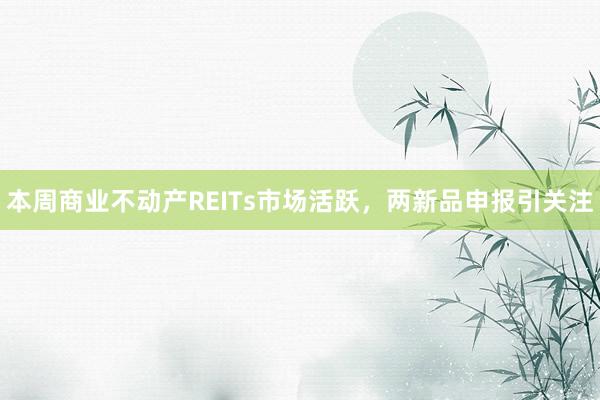 本周商业不动产REITs市场活跃，两新品申报引关注