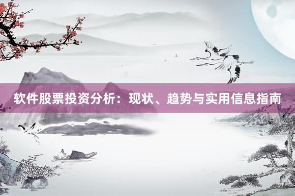 软件股票投资分析：现状、趋势与实用信息指南