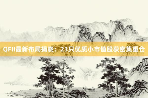 QFII最新布局揭晓：23只优质小市值股获密集重仓