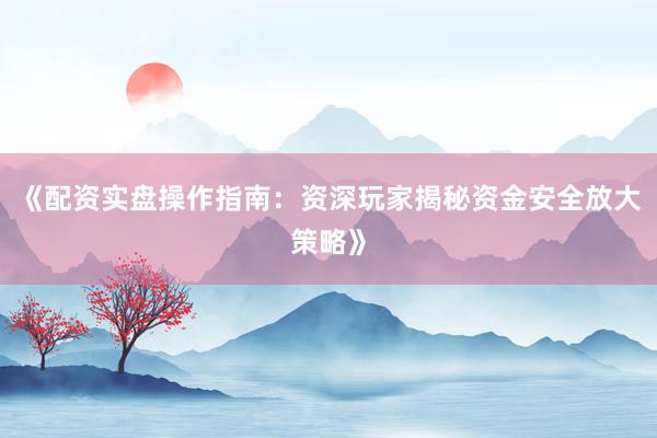 《配资实盘操作指南：资深玩家揭秘资金安全放大策略》