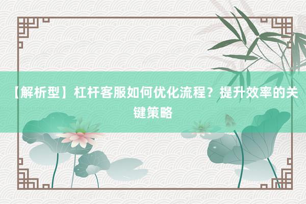 【解析型】杠杆客服如何优化流程？提升效率的关键策略