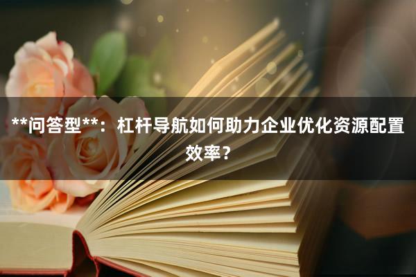 **问答型**：杠杆导航如何助力企业优化资源配置效率？