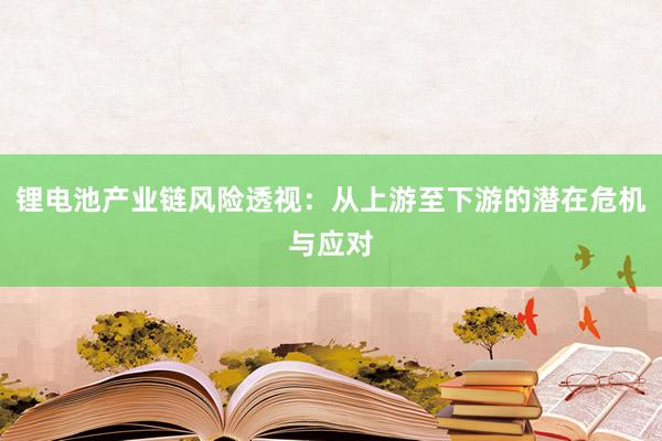 锂电池产业链风险透视：从上游至下游的潜在危机与应对