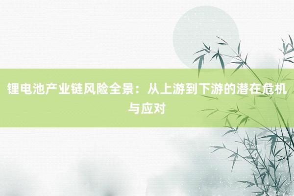 锂电池产业链风险全景：从上游到下游的潜在危机与应对