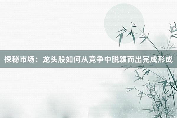 探秘市场：龙头股如何从竞争中脱颖而出完成形成