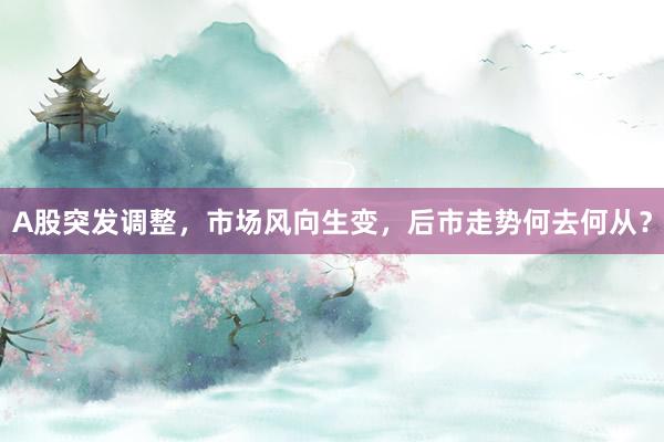 A股突发调整，市场风向生变，后市走势何去何从？