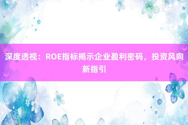 深度透视：ROE指标揭示企业盈利密码，投资风向新指引