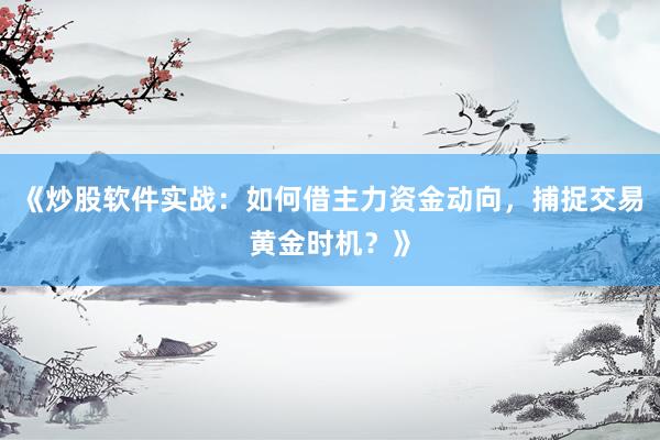 《炒股软件实战：如何借主力资金动向，捕捉交易黄金时机？》