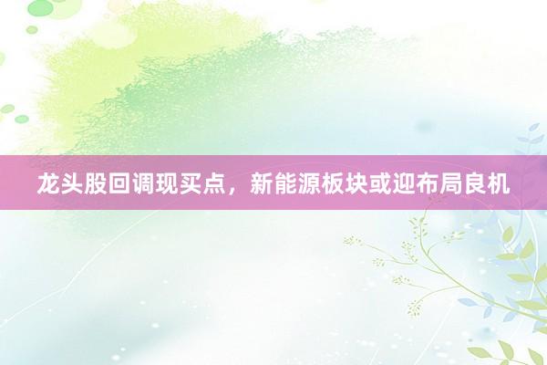 龙头股回调现买点，新能源板块或迎布局良机