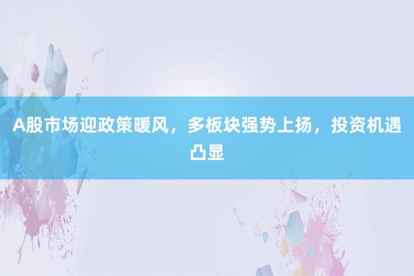 A股市场迎政策暖风，多板块强势上扬，投资机遇凸显