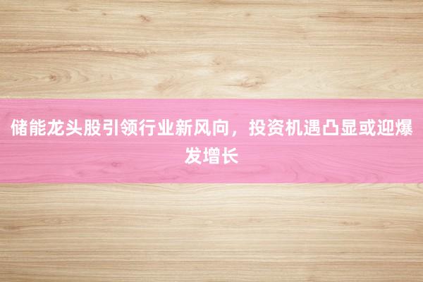 储能龙头股引领行业新风向，投资机遇凸显或迎爆发增长