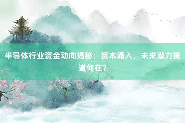 半导体行业资金动向揭秘：资本涌入，未来潜力赛道何在？