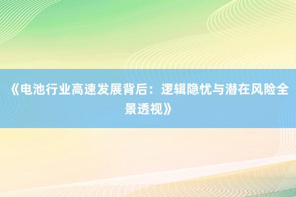 《电池行业高速发展背后：逻辑隐忧与潜在风险全景透视》