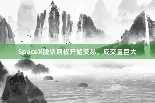 SpaceX股票期权开始交易，成交量巨大