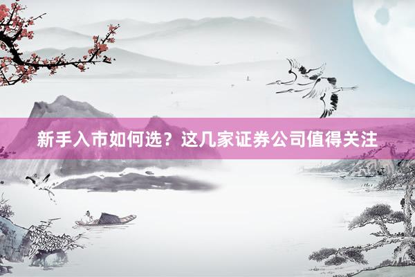 新手入市如何选？这几家证券公司值得关注