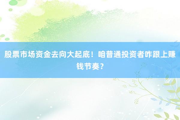 股票市场资金去向大起底！咱普通投资者咋跟上赚钱节奏？