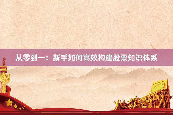 从零到一：新手如何高效构建股票知识体系