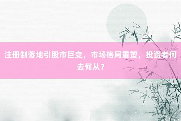注册制落地引股市巨变，市场格局重塑，投资者何去何从？