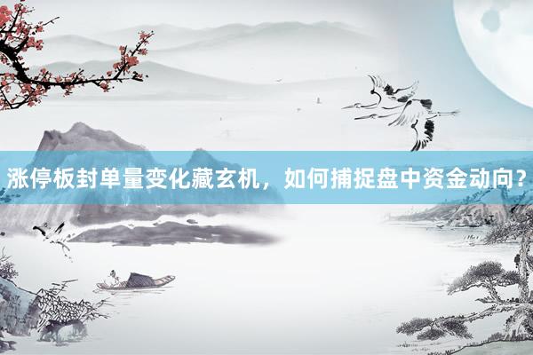 涨停板封单量变化藏玄机，如何捕捉盘中资金动向？