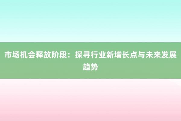 市场机会释放阶段：探寻行业新增长点与未来发展趋势