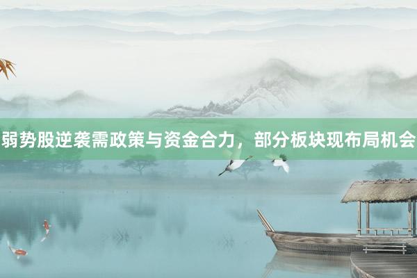 弱势股逆袭需政策与资金合力，部分板块现布局机会