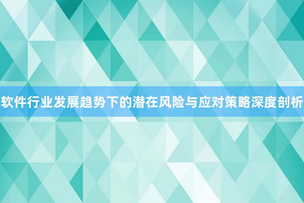 软件行业发展趋势下的潜在风险与应对策略深度剖析