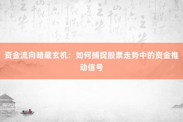 资金流向暗藏玄机：如何捕捉股票走势中的资金推动信号