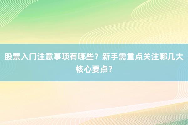 股票入门注意事项有哪些？新手需重点关注哪几大核心要点？