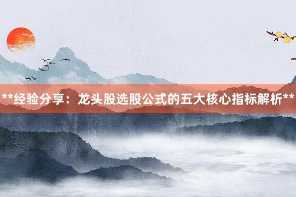 **经验分享：龙头股选股公式的五大核心指标解析**
