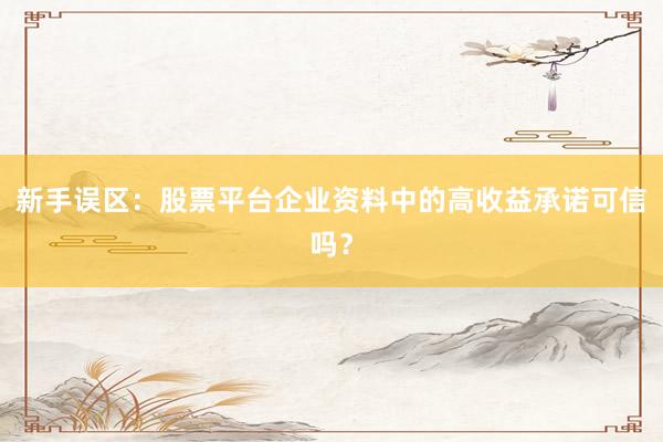 新手误区：股票平台企业资料中的高收益承诺可信吗？