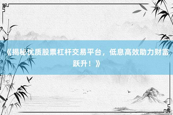《揭秘优质股票杠杆交易平台，低息高效助力财富跃升！》