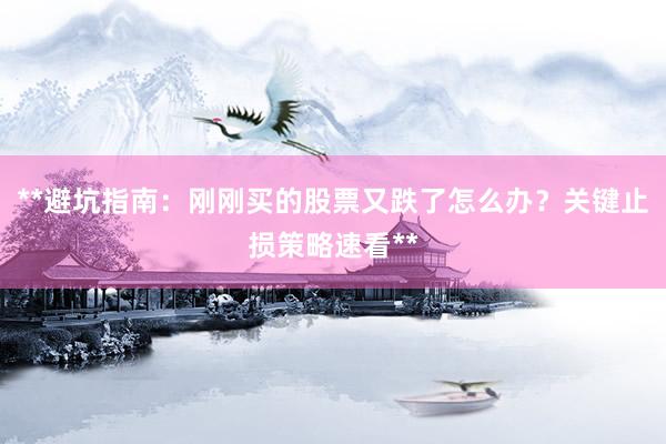 **避坑指南：刚刚买的股票又跌了怎么办？关键止损策略速看**