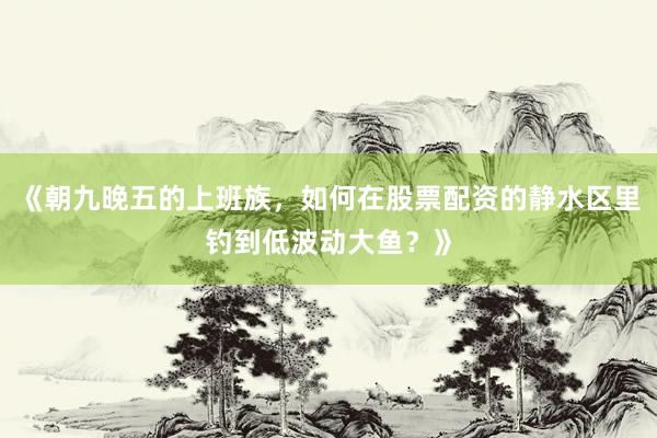 《朝九晚五的上班族，如何在股票配资的静水区里钓到低波动大鱼？》