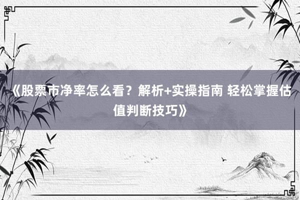 《股票市净率怎么看？解析+实操指南 轻松掌握估值判断技巧》