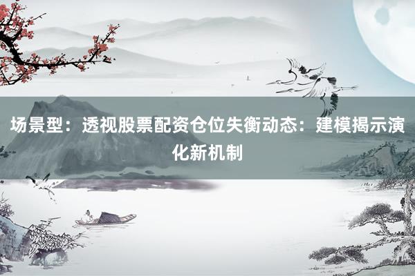 场景型：透视股票配资仓位失衡动态：建模揭示演化新机制